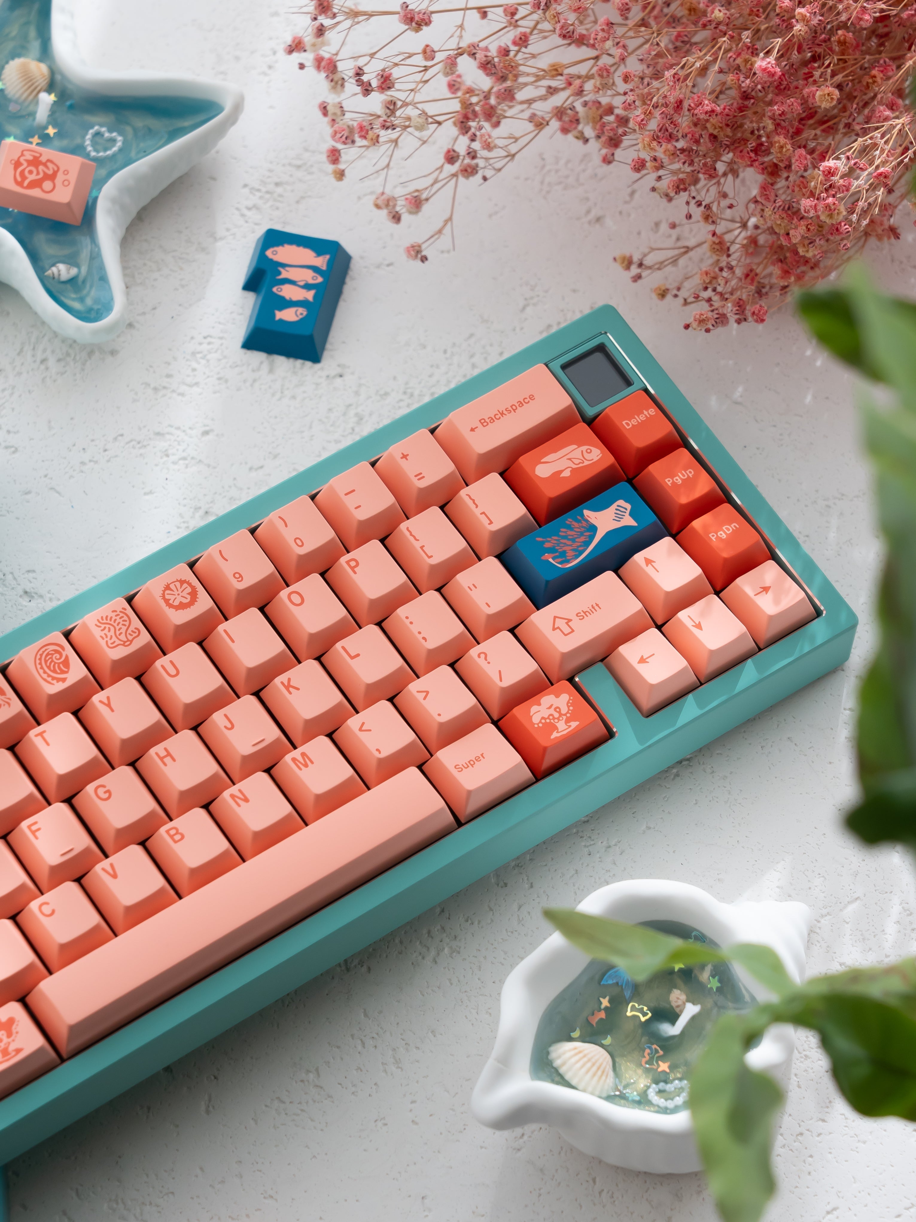 Keykobo The Great Barrier Reef — ational Parks Series Vol.02