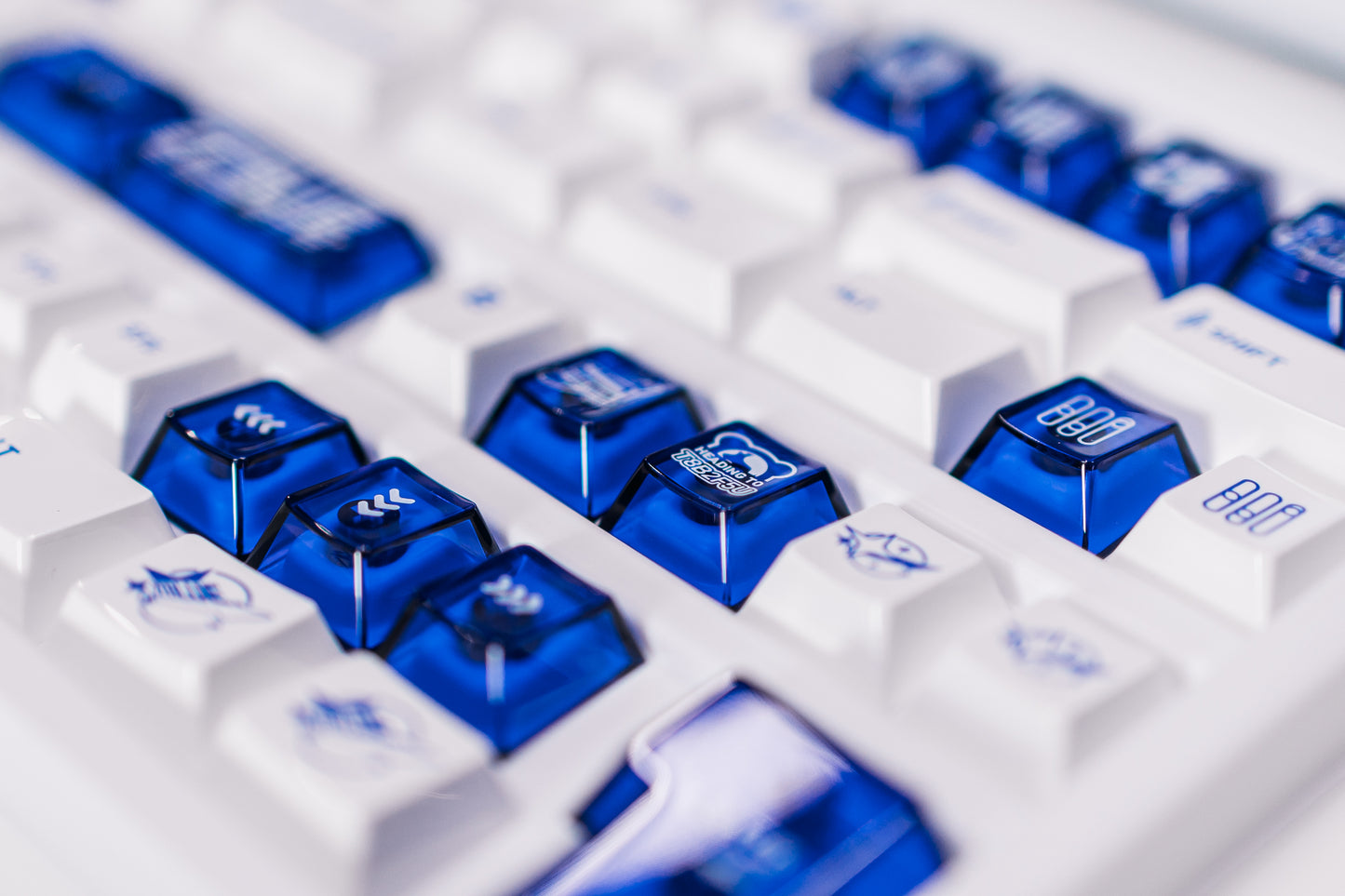 [IN-STOCK] KKB 2T BLUE